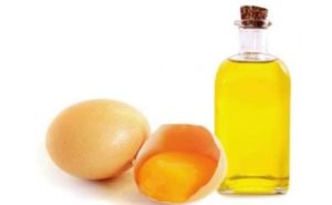 images 36 5 300x185 Egg Oil Beauty Benefits
