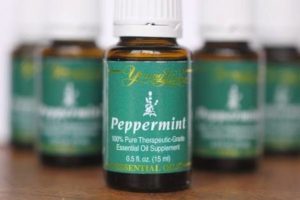 images 10 11 300x200 Peppermint Oil Hair Growth Benefits