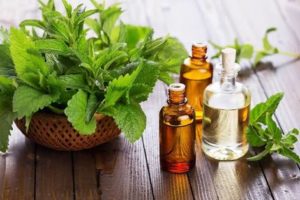 images 6 9 300x200 Peppermint Oil Hair Growth Benefits