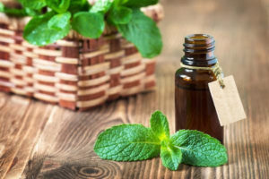 unnamed 9 300x200 Peppermint Oil Hair Growth Benefits